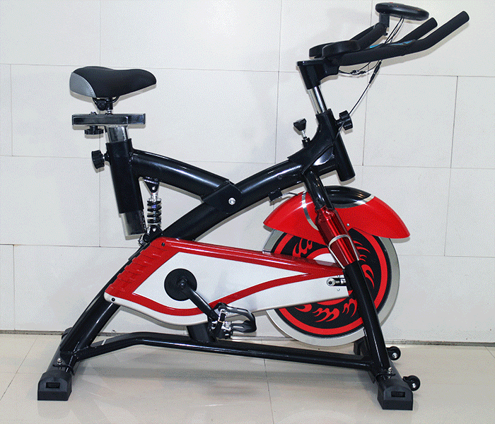 Xe đạp tập thể dục titan S-2000T