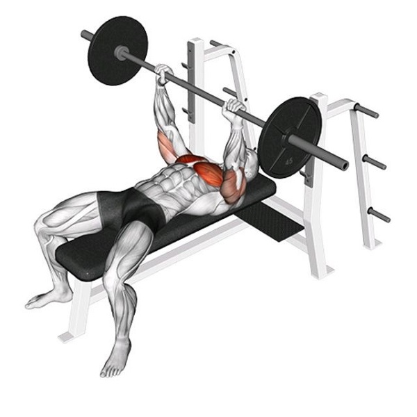 bai-tap-barbell-bench-press